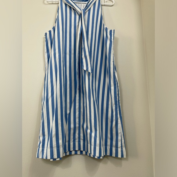 J.Crew Blue and White Striped Cotton Work Summer SunDress Dress Size 12 - Picture 9 of 15
